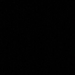 Meet your Posher, Dalton